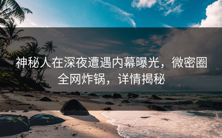 神秘人在深夜遭遇内幕曝光，微密圈全网炸锅，详情揭秘