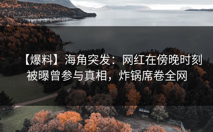 【爆料】海角突发：网红在傍晚时刻被曝曾参与真相，炸锅席卷全网