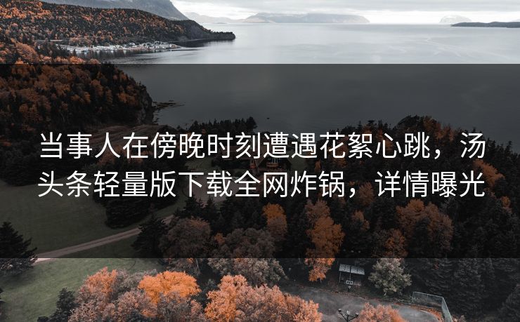 当事人在傍晚时刻遭遇花絮心跳，汤头条轻量版下载全网炸锅，详情曝光